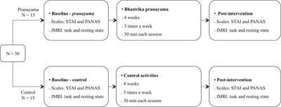 Effects of Yoga Respiratory Practice (Bhastrika pranayama) on Anxiety, Affect, and Brain Functional Connectivity and Activity: A Randomized Controlled Trial